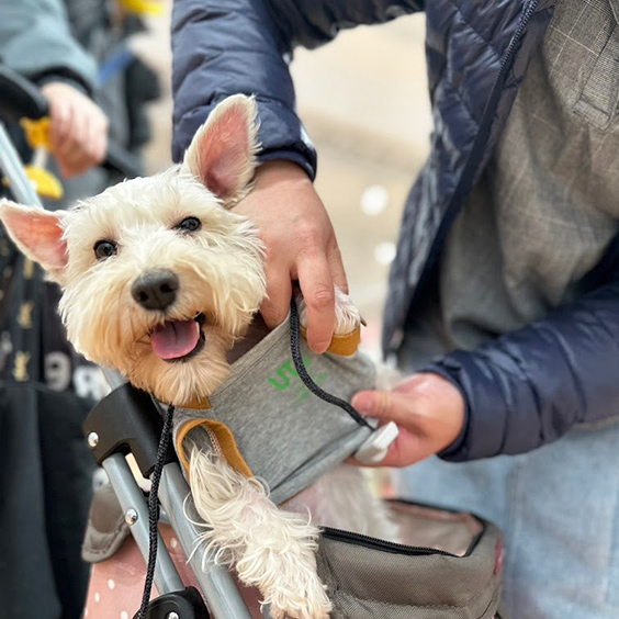 RECYCLE 回收 感謝U你支持舊衣新生工坊