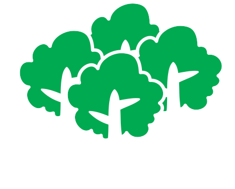 首批造林工作共認養林地9.3公頃