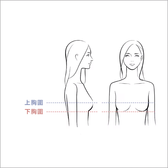 測量上胸圍及下胸圍尺寸。