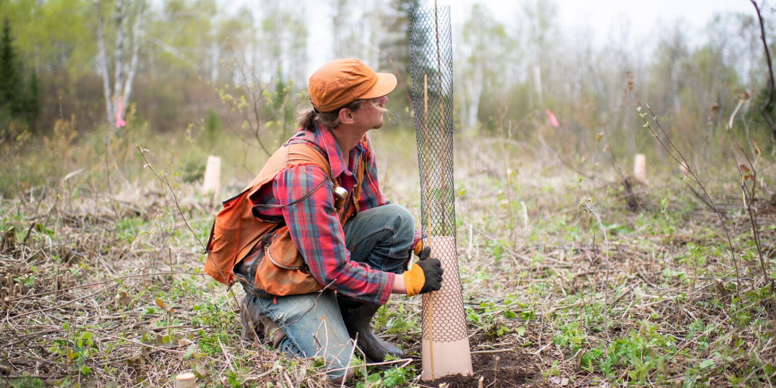 Man planting a new tree. Credit to David Bowman courtesy of TNC.