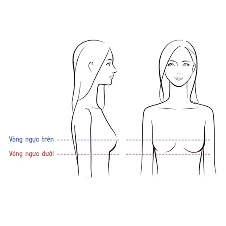Đo vòng 1 ở điểm đầy đặn nhất của phần ngực, thước vừa khít nhưng không siết chặt 