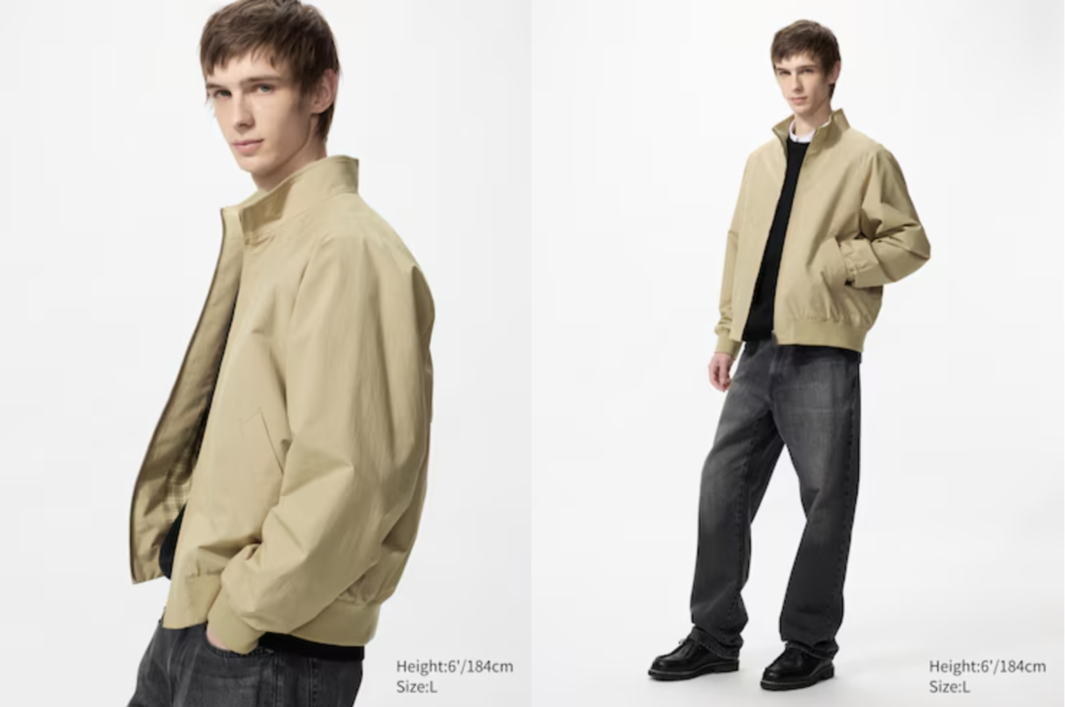 Áo khoác Harrington với thiết kế cổ điển, gọn gàng và dễ ứng dụng