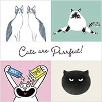 Cats are Purrfect!
